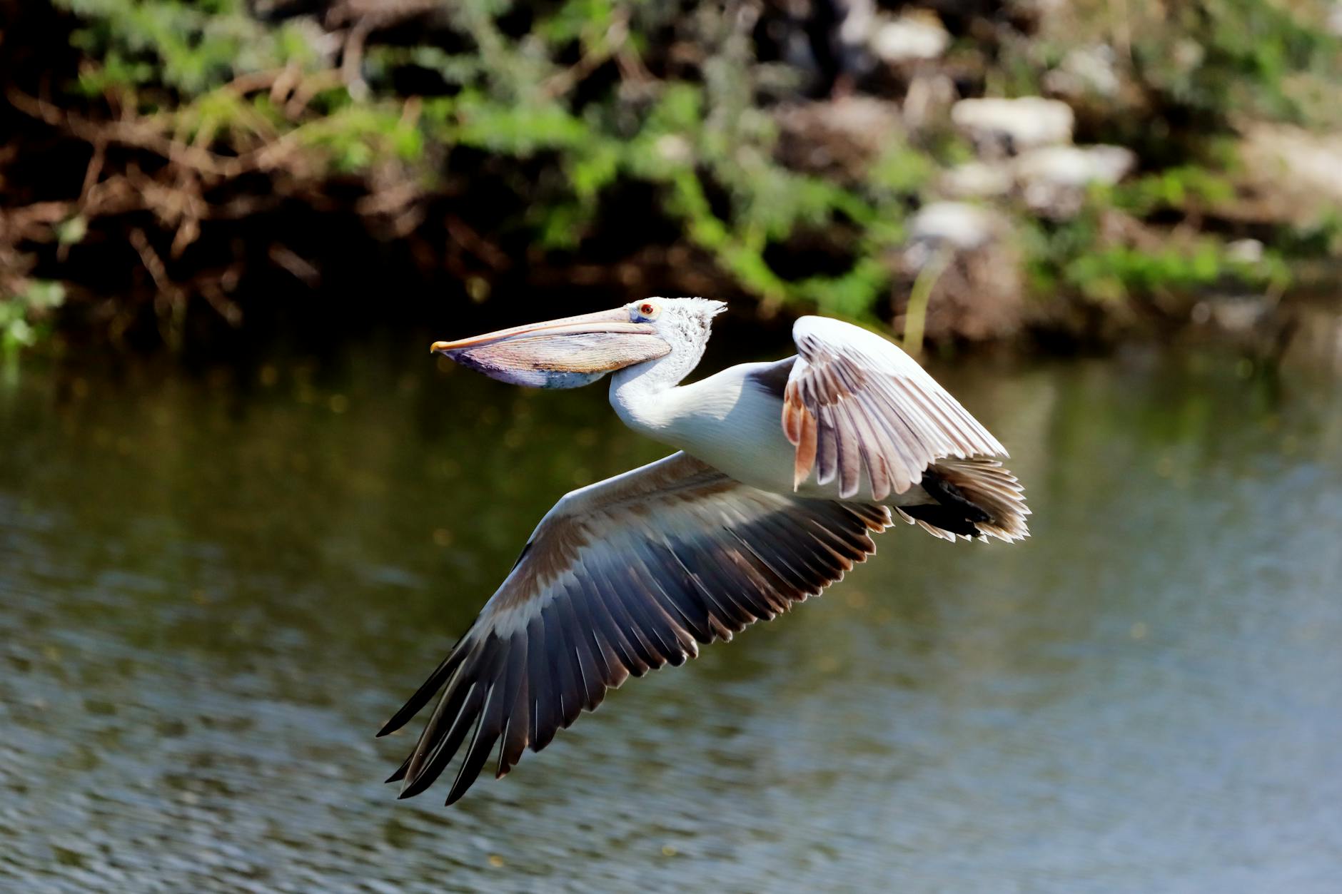 Białogard dołącza do akcji Godzina dla Ziemi WWF - mieszkańcy miasta wspierają ochronę środowiska