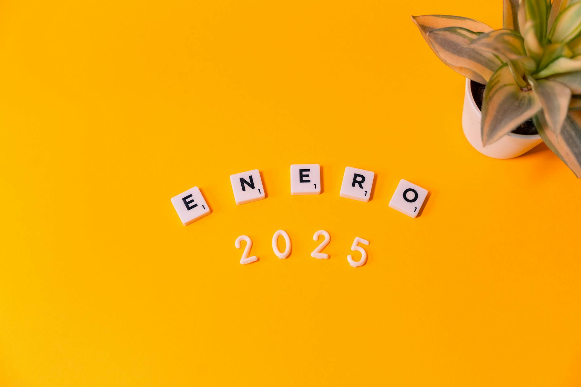 Analiza budżetu Białogardu na 2025 rok: Dochody, wydatki i nadwyżka finansowa