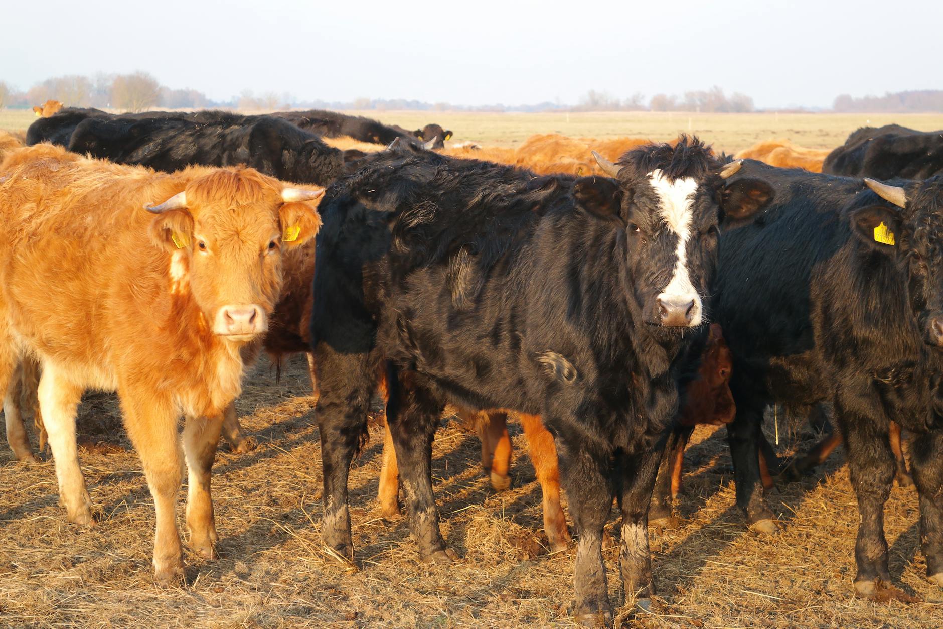 Mapa Białogardu z zaznaczonymi inwestycjami dofinansowanymi z Funduszy Europejskich